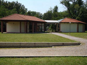 DSC00539
