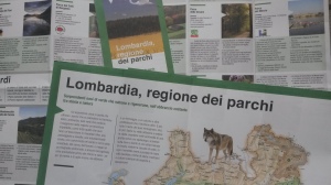 cartina