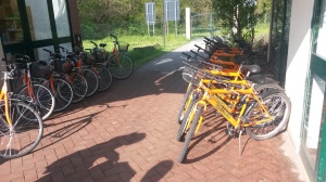 20150418_093535