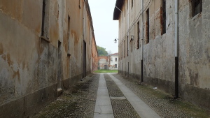 DSCF4399