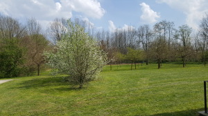 20170401_145045