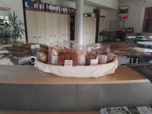 IMG-20170830-WA0012