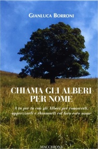 Libro Borroni