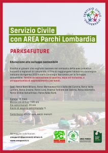 Progetto senza titolo (9)